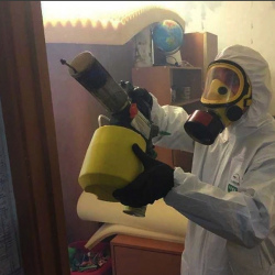 Уничтожение клопов в квартире. Видное